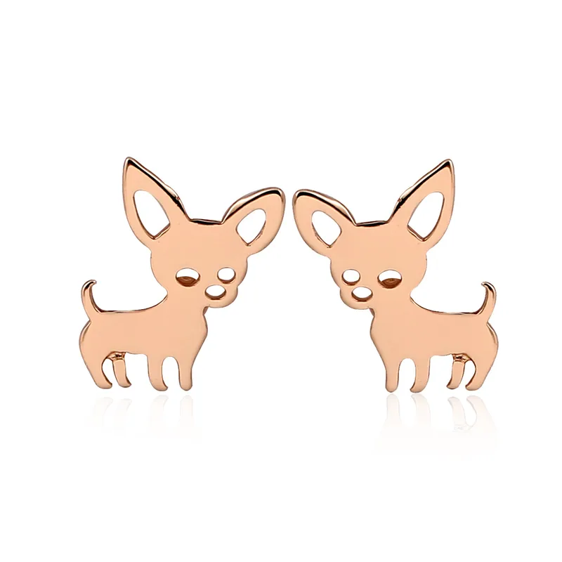 Pendientes de Acero Inoxidable – Diseño Chihuahua