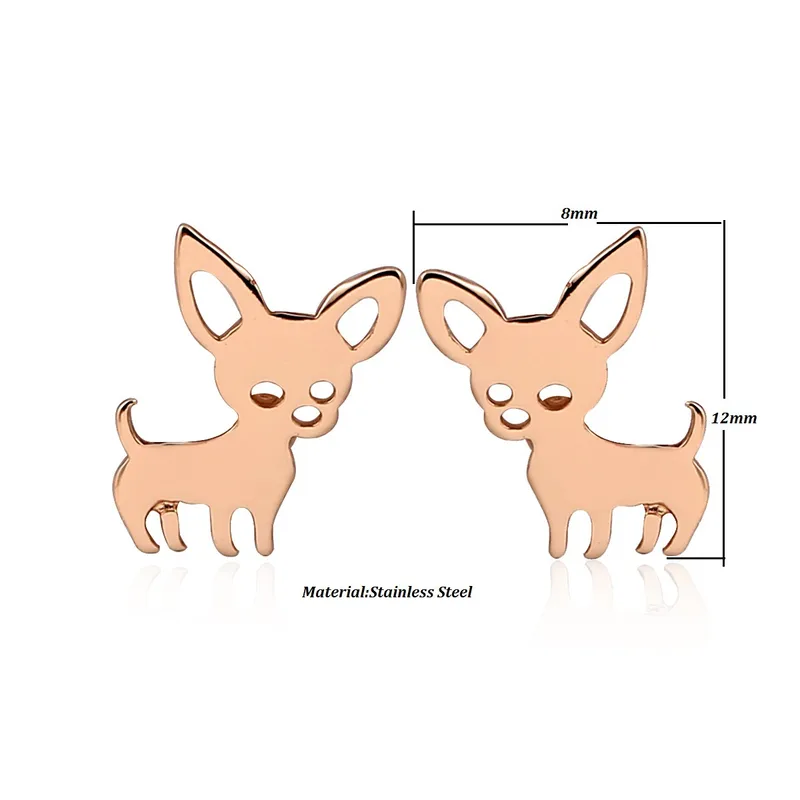 Pendientes de Acero Inoxidable – Diseño Chihuahua